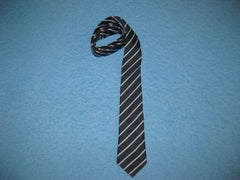 Thames Ditton Junior School Tie