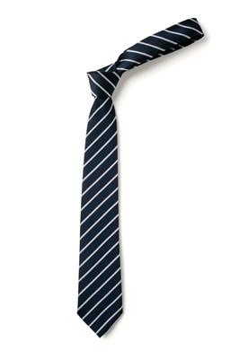 Thames Ditton Junior School Tie